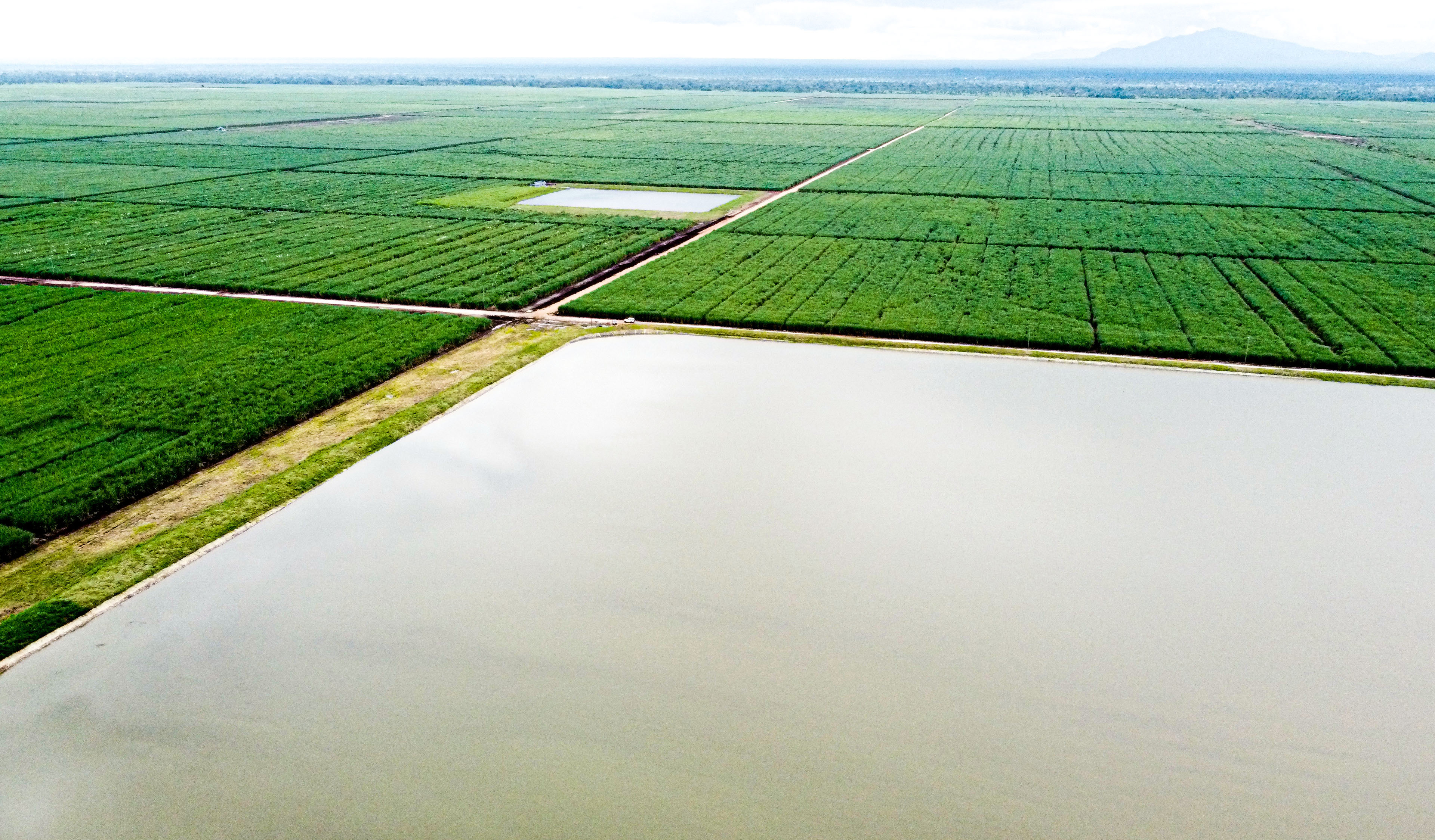 Hatua Muhimu ya Uendelevu